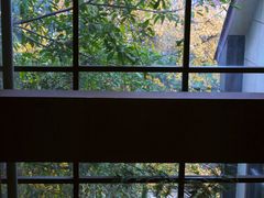 -椿杨樘·明康泡浴养生馆(重庆店)