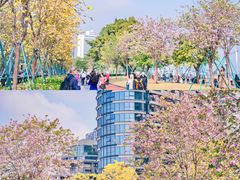 -洲头咀公园