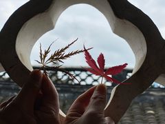 -大發韩国烤肉(八佰伴店)