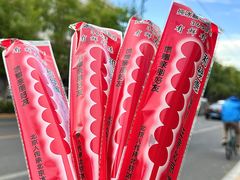 -和禄德冰糖葫芦