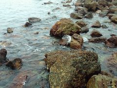 -西涌国际滨海旅游区