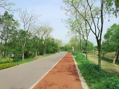 -上海长兴岛郊野公园