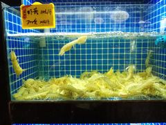 -徽三说·土徽菜·中国徽菜连锁品牌(一中店)