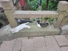 -狼山风景名胜区