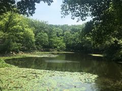 -紫金山山顶公园