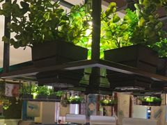 -寂寞的豆芽 烧烤酒场(丽景店)