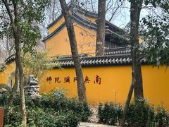 -灵谷景区