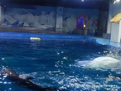 -石林冰雪海洋世界