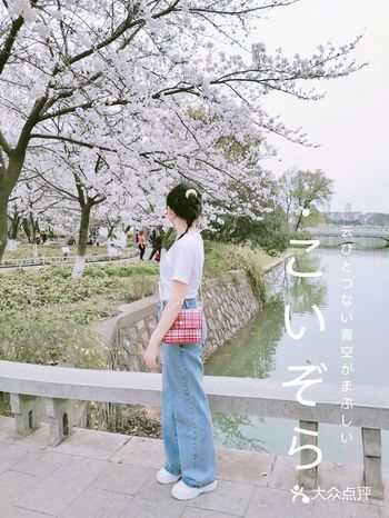 南京游 |春游必去情侣园樱花郁金香满园