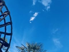 -重庆海昌加勒比海水世界