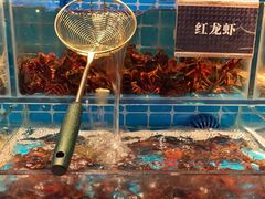 -渔纬港海鲜自助餐厅(湖里万达店)