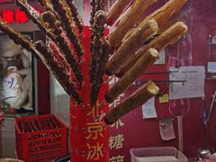 -和禄德冰糖葫芦