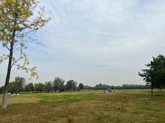 -汉长安城未央宫国家考古遗址公园