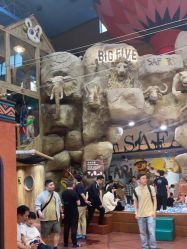 -卡通尼·Safari非洲探索乐园·生日会(金桥国际商业广场店)