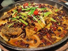 -老板恋上鱼(环山路店)
