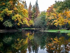 -上海共青森林公园