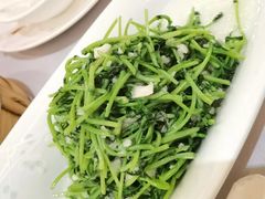 蒜蓉豆苗-海岛渔村大酒店(云霄路店)