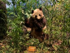 -陕西自然博物馆