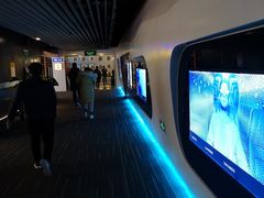 -奥斯卡升龙国际影城(RealD Cinema)