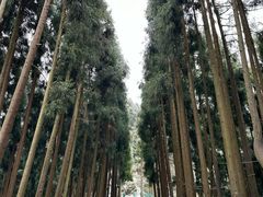 -太阳湾风景区