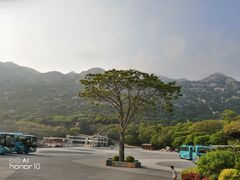 -青岛崂山太清宫