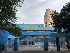 -泡桐树街
