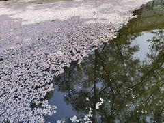 -三国水浒景区(无锡影视基地)