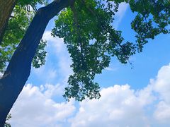 -人民防洪胜利纪念塔