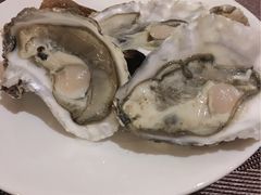 -壹号港湾