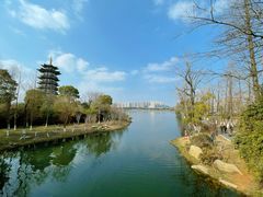 -洋湖国家湿地公园