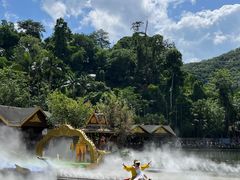 -西双版纳原始森林公园