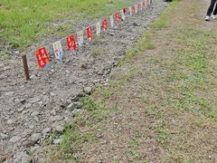 -郫都区农科村景区