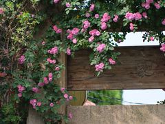 -老门东历史文化街区