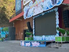 -西双版纳原始森林公园