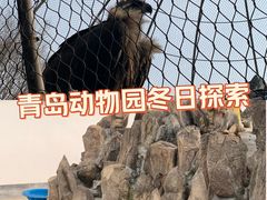 -青岛动物园