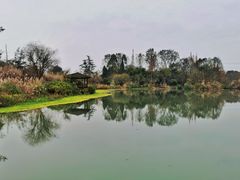 -桤木河湿地公园