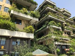 -碧桂园凤凰城酒店(南京店)