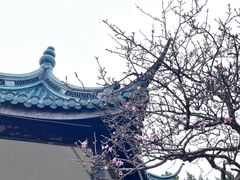 -无锡梅园公园