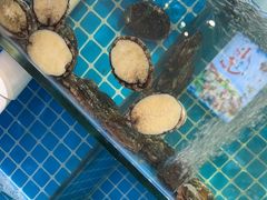 -李哥海鲜烧烤家常菜(孔雀城店)