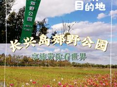 -上海长兴岛郊野公园