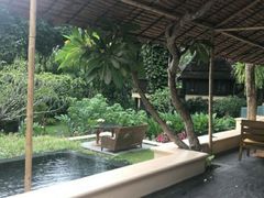 -四季酒店下午茶
