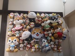 -逗柴咖啡屋·狗咖猫咖宠物桌游