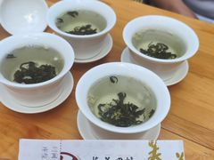 -芙蓉国粹·川剧秀
