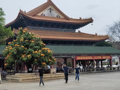 -广东圆玄道观