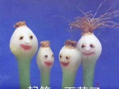 -星巴克臻选(广州东山锦轩店)