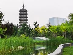 -西海子公园