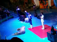 -烟台海昌鲸鲨海洋公园