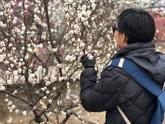 -北京鹫峰国家森林公园
