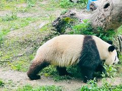 -宁波野生动物园