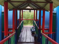 -巩本明鱼屋子